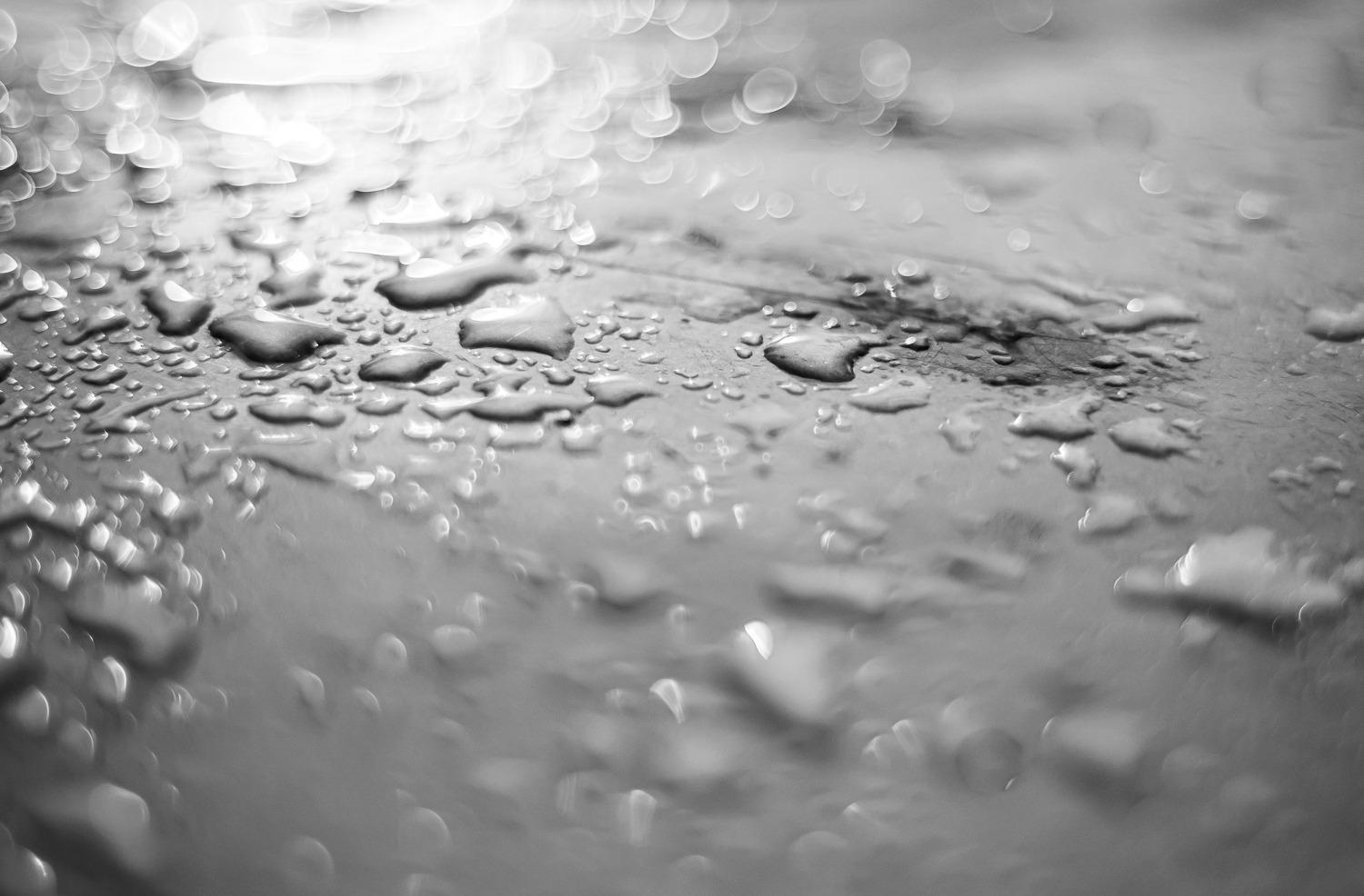 Great Bang for the Buck Prime Lens!