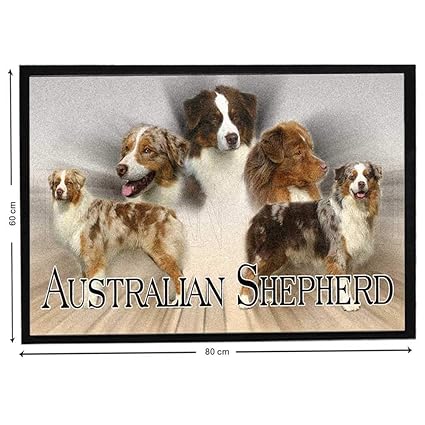 Pets Easy Berger Australien Rouge Sur Tapis Maison De Berger