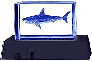 QIANRUNA 3D Crystal Shark Gifts for Shark Lovers,Glass Shark Figurine Stuff Toys Night Light Lamp Gifts for Women Children Kids Boys Girls