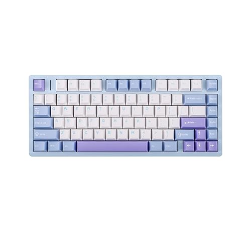 EPOMAKER AULA M75 Wireless Gaming Keyboard with 8000mAh Battery, 75% CNC Aluminum Mechanical Keyboard, Hot Swappable, Creamy Gasket, RGB Backlight, NKRO for Games/Office (Blue&White&Purple)