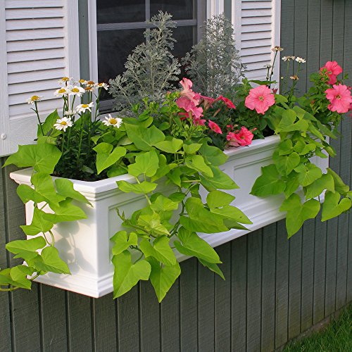 Mayne Fairfield Window Box Planter - Image 4