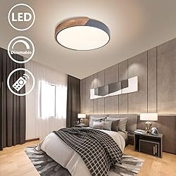 EDISLIVE Ceiling Light Dimmable 15 inch Modern