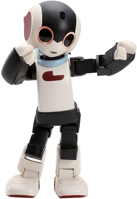robi robot amazon