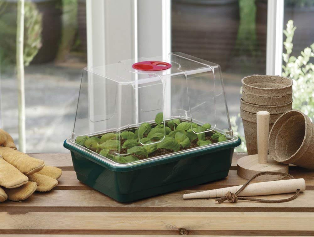 Garland GAL20SM Half-Size High-Dome Propagator, Green, 22x16x19 cm