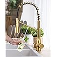 3-in-1 Kitchen Faucet Drinking Water Faucet - Brushed Gold Drinking Water Faucet Commercial Style Pull-Down Single Handle Filter Kitchen Faucet for Water Filtration System
