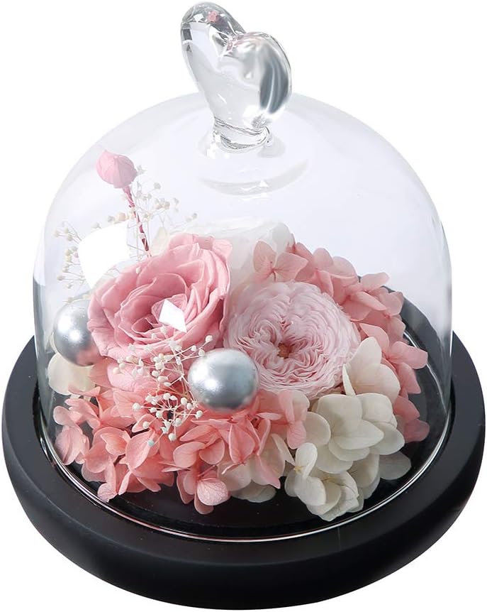 ANLUNOB Enchanted Rose Forever Rose Anniversary Day Gift Preserved Rose