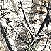 KT Tape Pro Kinesiology Therapeutic Sports Tape, 20 Precut 10 inch Strips, Latex Free, Water Resistance, Pro & Olympic Choice, Realtree Camo, 20 Strips
