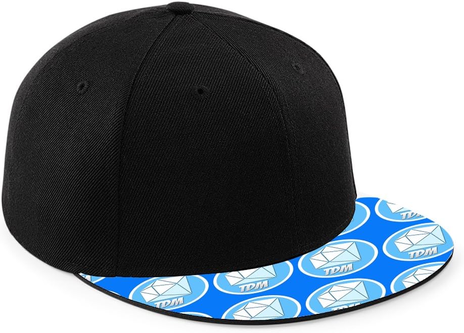 DANTDM LOGO SNAPBACK CAP HAT TDM