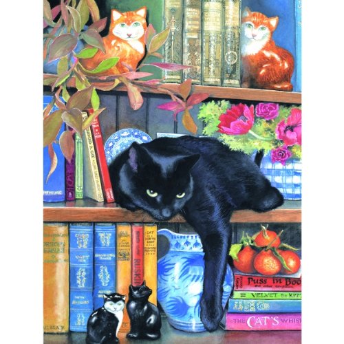 On the Shelf 1000 pc Jigsaw Puzzle