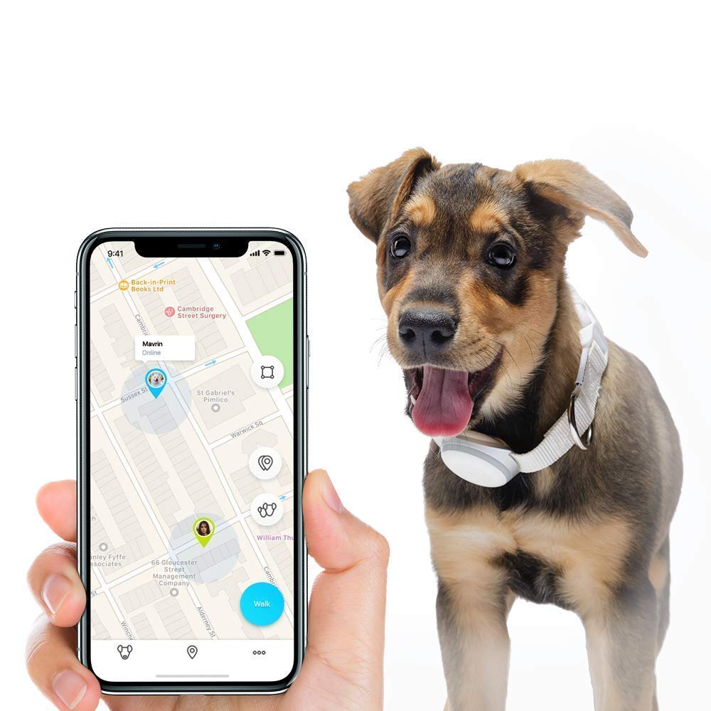 Mishiko PET Dog GPS Tracker & Fitness Planner Amazon.co.uk Pet Supplies