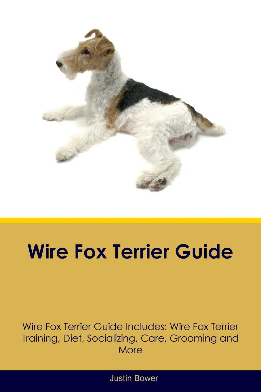 wire fox terrier training
