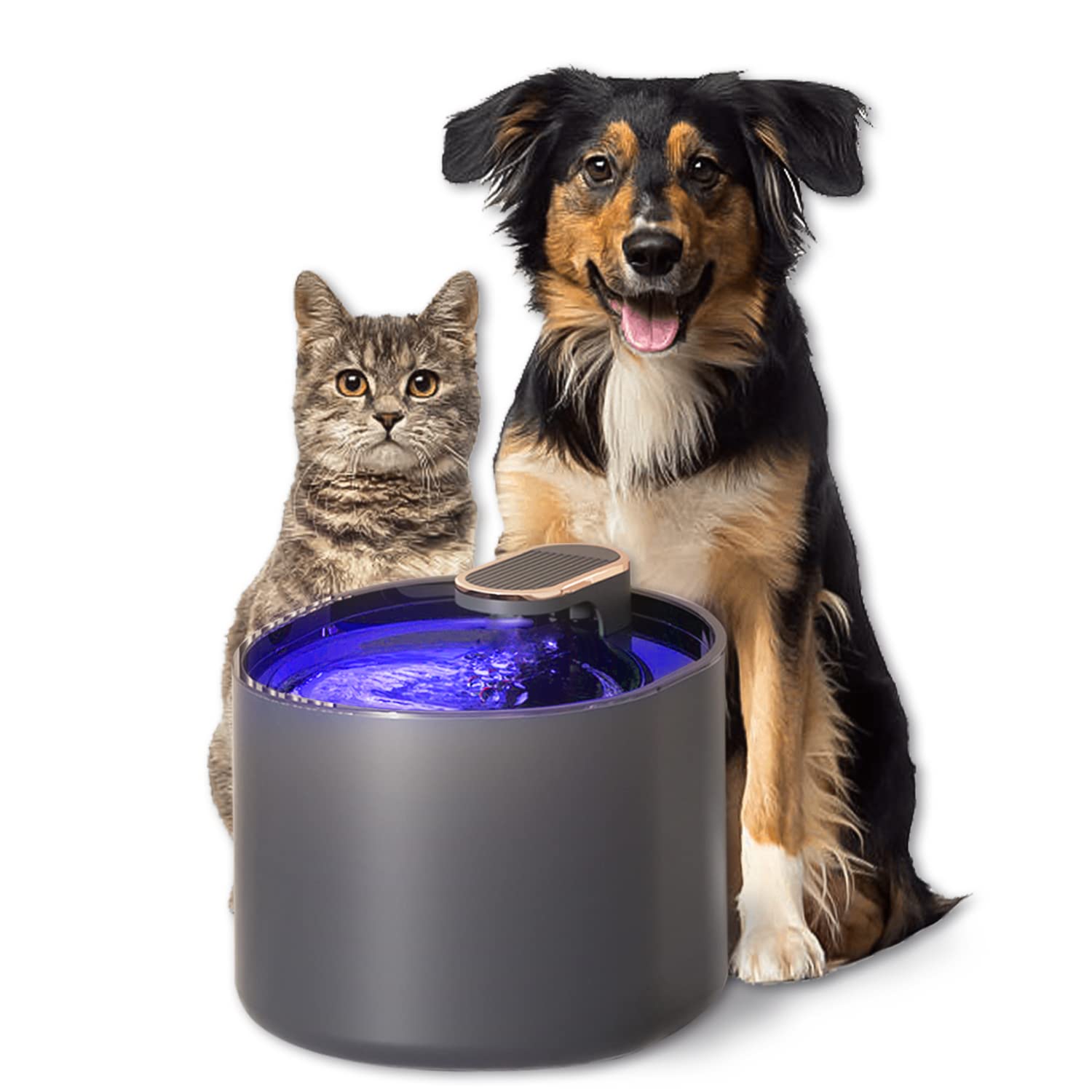 ZOKBOM Cat Water Fountain 3L With LED Light | Ultra Quiet Pet Drinking Fountain for Kitten Puppy | USB Cable-Mains Powered Cat Bowl