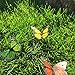 Butterfly Garden Ornaments & Patio Stakes Butterflies Plant Picks 12 Pcs Set