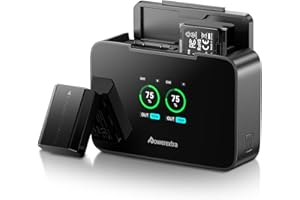 NP-FZ100 Battery 2-Pack with 20W LCD Display Charger - 2500mAh Replacement for Sony A7III A7IV A7C A6700 ZV-E1 FX3 FX30 A9 A7