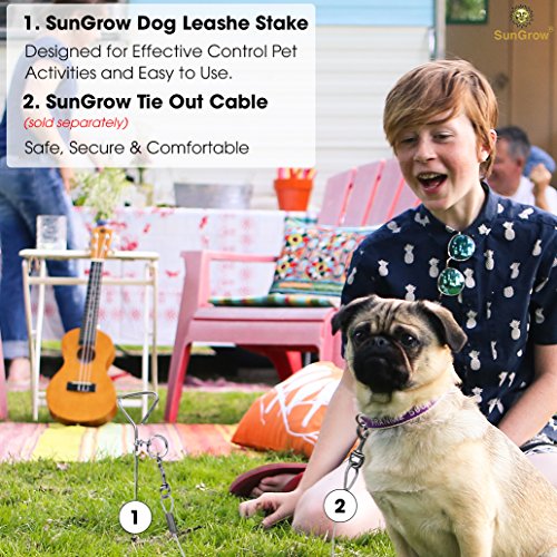 image for SunGrow Stainless Steel Tie Out Leash Stake 360 Degree Rotating Ring- 