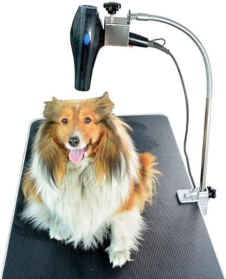 Secador Para Peluqueria Canina Factory Sale, 47% OFF | www.piersgibbon.com