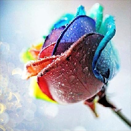 Millenniums 5d Bricolage Diamant Peinture Fleur Rose