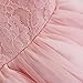 FEESHOW Baby Girls Bowknot Lace Flower Dress Wedding Baptism Christening Gown Pageant Birthday Tutu Dress Pink 3-6 Months
