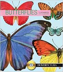 Butterflies Dover Pictura Electronic Clip Art Dover