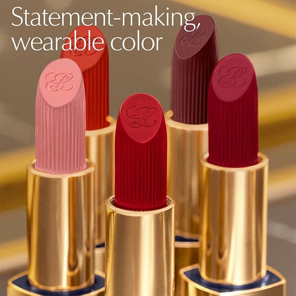 ESTÉE LAUDER PURE COLOR LONG-LASTING MATTE LIPSTICK FOR WOMEN WITH MATTE FINISH | PLUMPING & NOURISHING, 0.12 OUNCE, REFILL, 888 POWER KISS