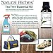 Natural Riches Aromatherapy Essential Oil Kit - Therapeutic Grade - Peppermint Essential Oil, Lavender Essential Oil & Tea Tree Essential Oil - Pack of 3-1 fl oz Each
