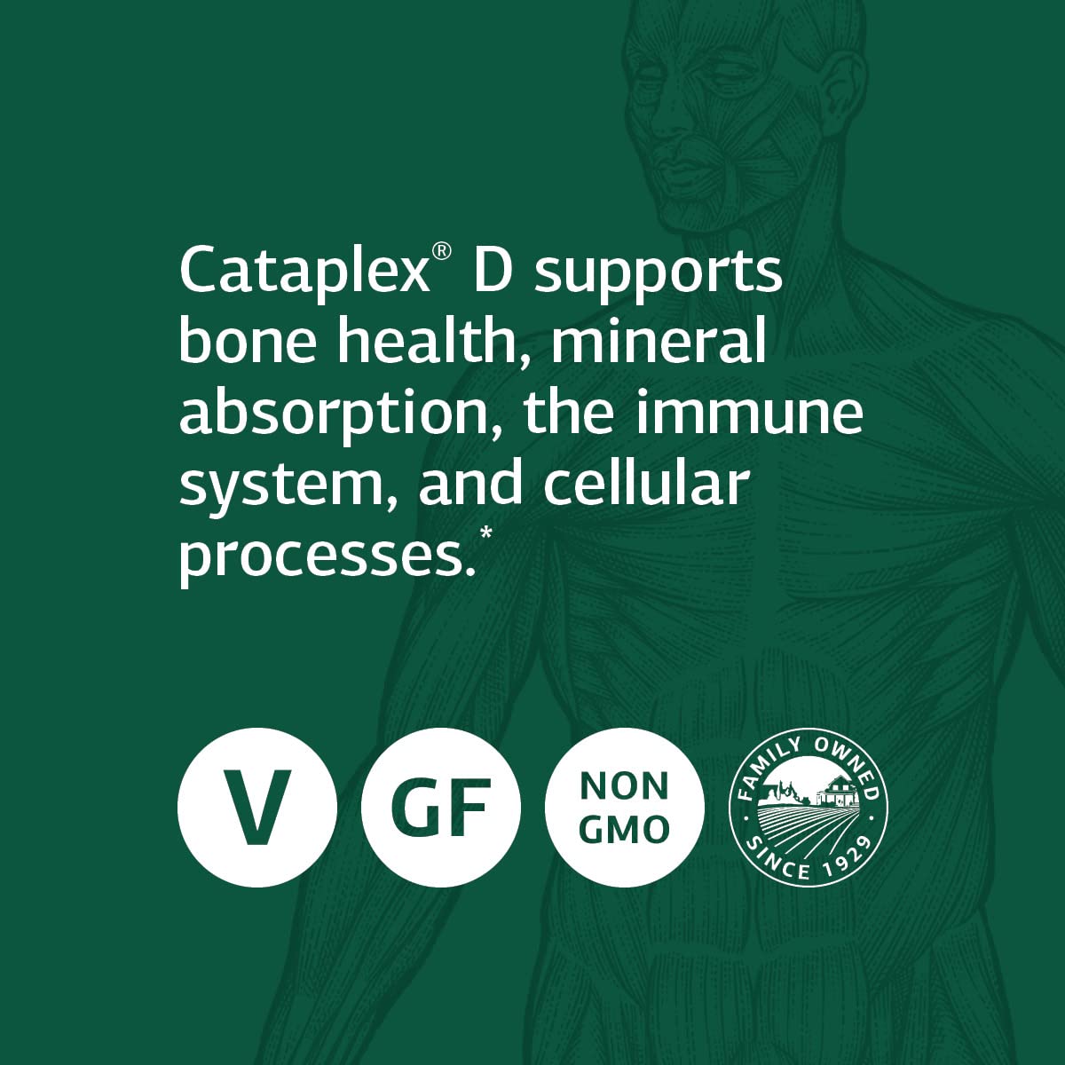 Calcium Lactate, 180 Tablets - Paramount Wellness
