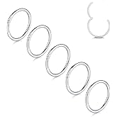 Aumeo 14G 16G 18G 20G Nose Ring Hoop Stainless Steel Hinged Segment Rings Hoops Nose Clicker Ring Tragus Helix Cartilage Daith Rook Earring Piercing Jewelry for Women Men