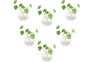Dubee Wall Hanging Planter Propagation Station, Oblate Glass Vase Set of 6 for Hydroponics Plants, Modern Home Decor Gift for Bathroom, Living Room, Office - Clear Terrarium