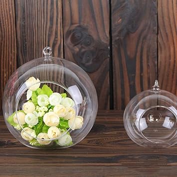 Amazon Com Hanging Globe Glass Ball Terrarium Romantic Flower