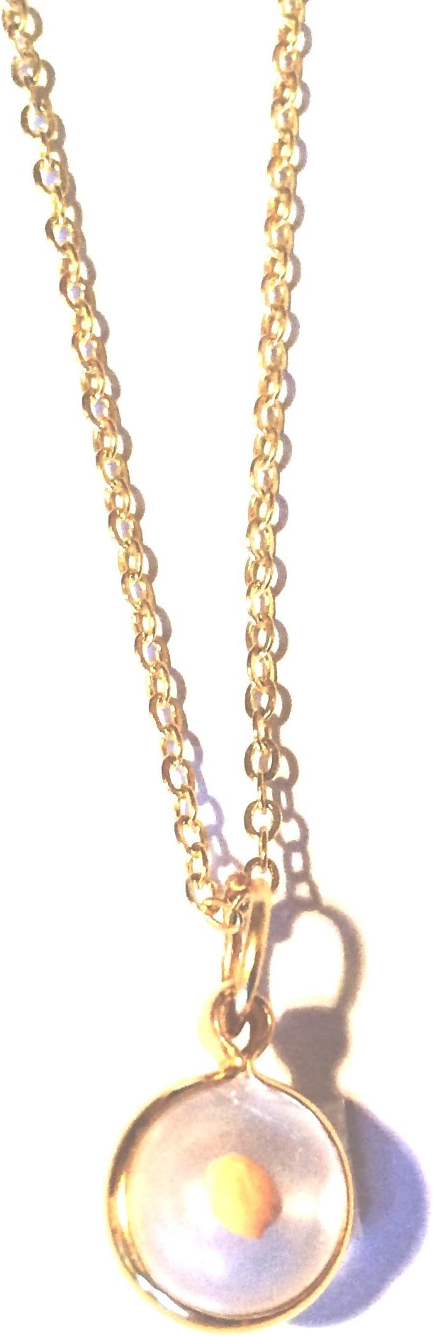Gold Vintage Mustard Seed (Popular in The 60's) on 18" Gold Plated Chain with Scripture Card Matthew 17:20"If You Have Faith Free 1st Class Shipping