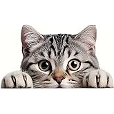 2 PCS Tabby Cat Vinyl Car Stickers Suitable for Smooth Surface Decoration Stickers Such as Laptops Trucks Motorcycles Windows Walls A-39