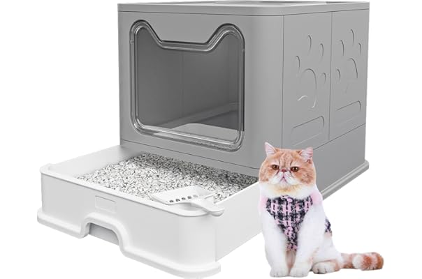 dog proof litter box amazon