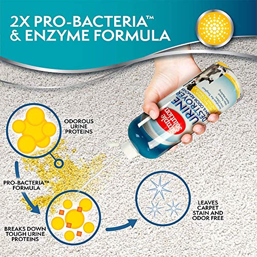 Simple Solution Urine Destroyer Enzymatic Cleaner Pet Stain and Odor