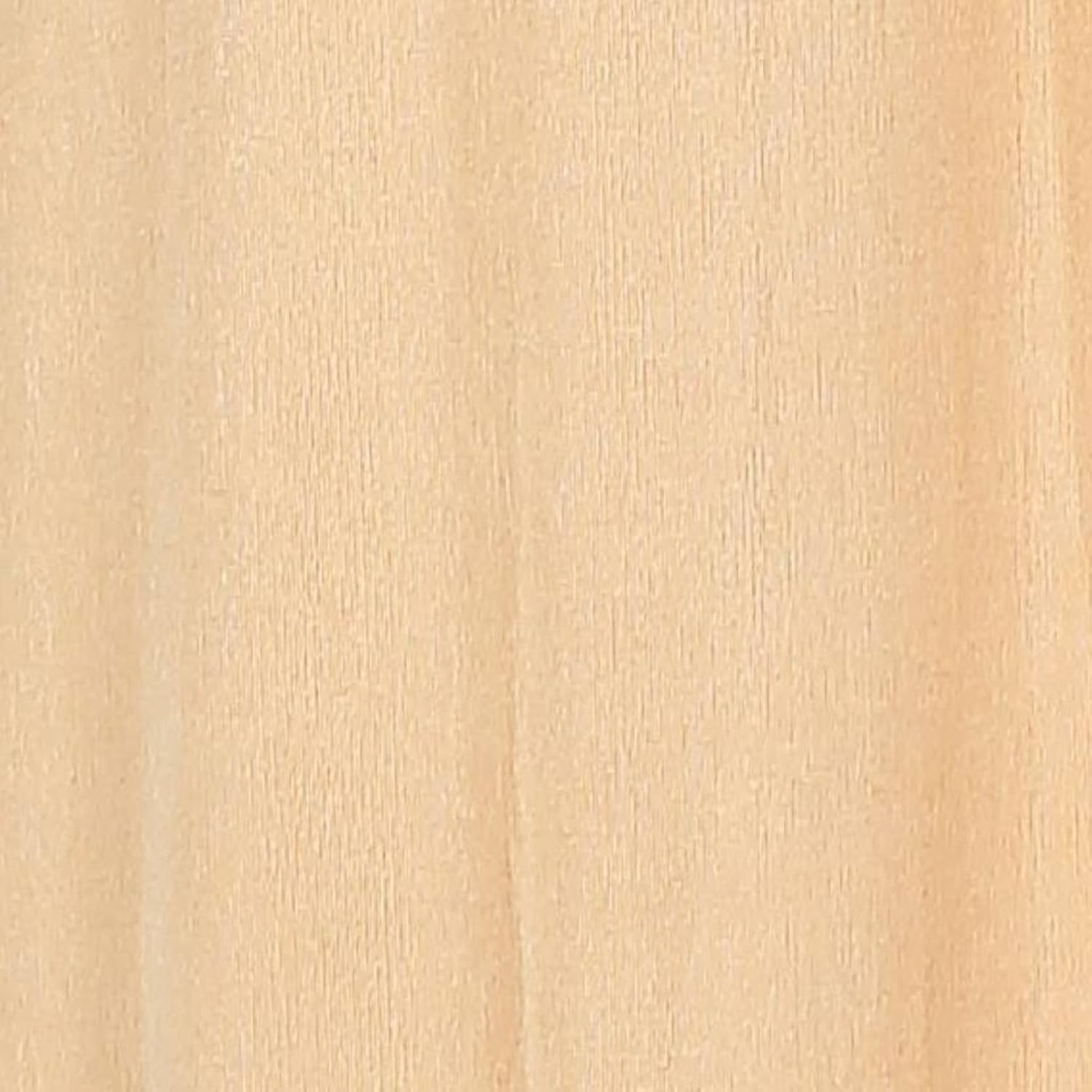 pi world plazzo pants for women's