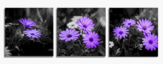 Amazon.de: Blumen-Wandkunst, schwarz und weiß lila, Blumenbilder