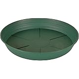 Hydrofarm HGS16P Green Premium Saucer, pack of 10