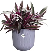 elho Jazz Round 16cm Flower Pot Purple Lilac Recycled Plastic Indoor view 3
