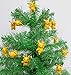 Pokemon Go 12 Piece PIKACHU Christmas Ornament Set - Unique Shatterproof Plastic Design Around 1.5