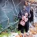 Halloween Spider Web Stretchy Glowing for Halloween Outdoor Indoor Decorations with 65 Fake Spiders of 3 Sizes