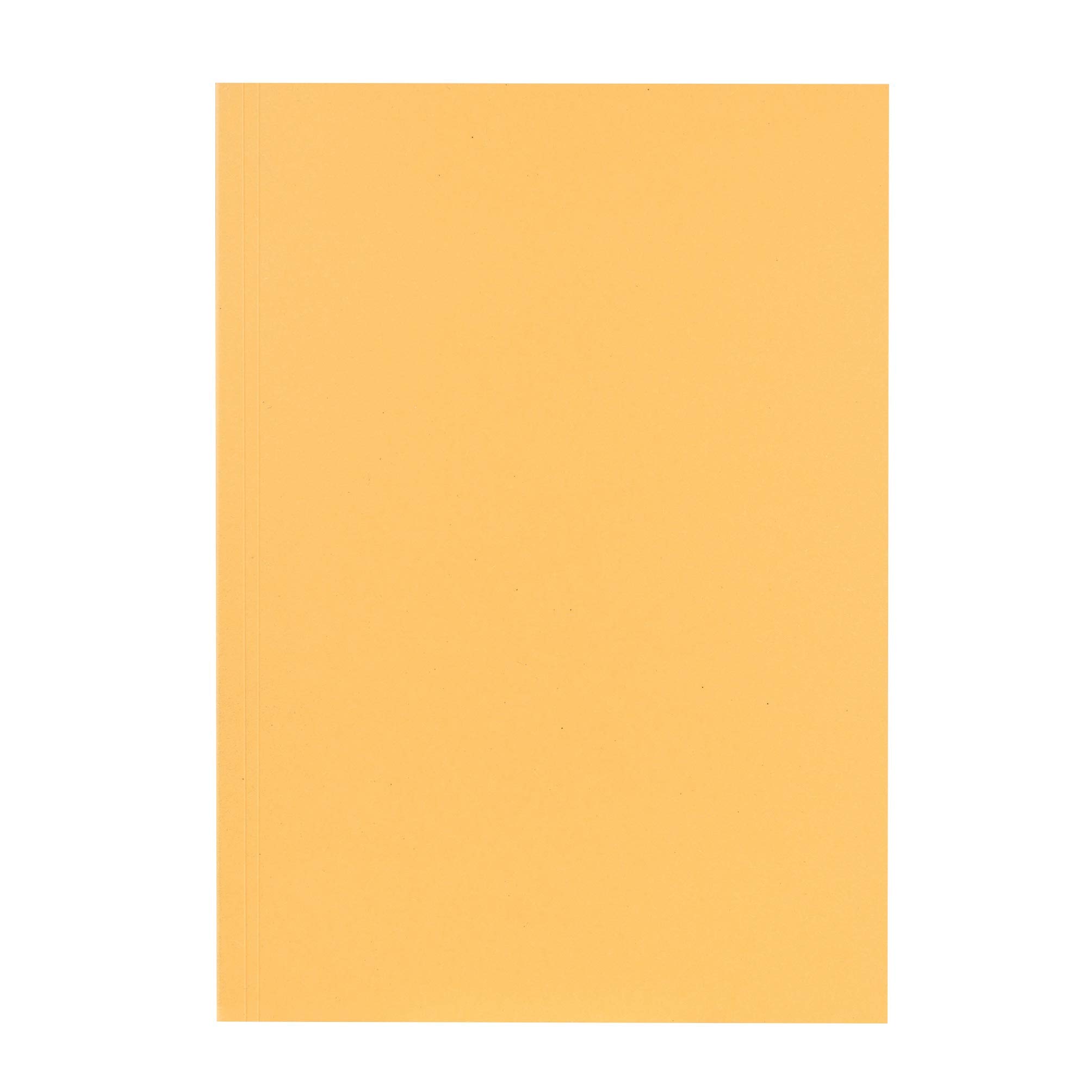 Exacompta - Ref 80001233002F - FALKEN - Recycled Square Cut Folders - A4 (210 x 297mm) in Size, 250gsm Recycled Manilla, Holds Up to 300 Sheets - Cream (Pack of 100)