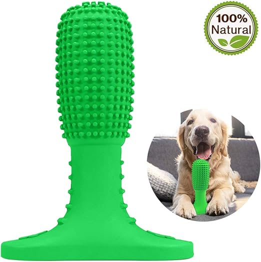 amazon dog toothbrush