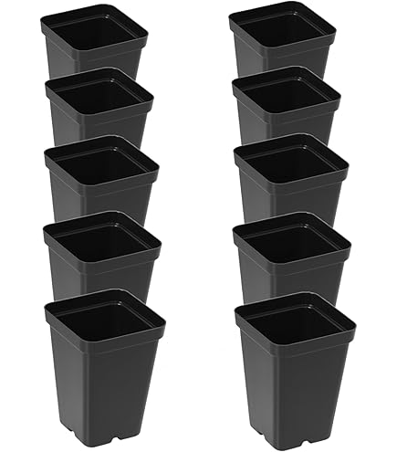 Sunpack 9"x9" Square Pot, Black 10" Tall - Image 4