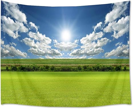 Amazon Co Jp Lb 自然風景タペストリー 青空と白雲 緑の野原 インテリア 多機能壁掛け おしゃれ 風景画 ファブリック装飾用品 モダン 模様替え 部屋 窓カーテン 個性ギフト 新居祝い150ｘ100cm ホーム キッチン