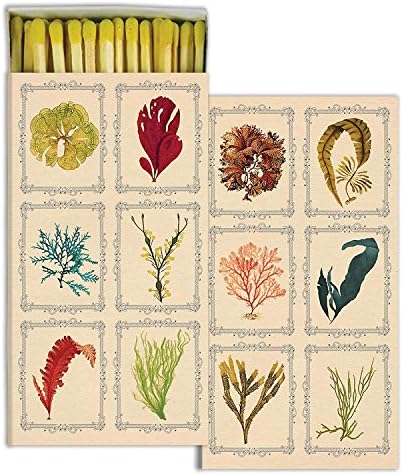 HomArt Large Decorative Kelp Match Boxes (Set of 6)