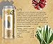Scheckter's Organic Energy Drink, Lite Lemon Pomegranate, 8.4 Fl. Oz (Pack of 12) (Packaging May Vary)