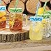 Mason Jar Mugs with Handle, multi COLORED Lids and Plastic Straws. 16 Oz. Each. Old Fashion Drinking Glasses - pack of 4 by Premium Vials
