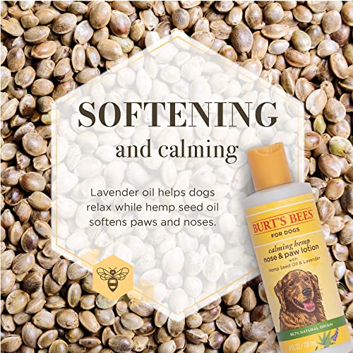 BURT’S BEES FOR PETS CALMING HEMP PAW & NOSE LOTION – BURT’S BEES DOG LOTION BURT’S BEES DOG PAW BALM WITH HEMP SEED OIL & LAVENDER MADE WITH NATURALLY DERIVED INGREDIENTS – PH BALANCED FOR DOGS, 4 OZ