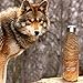 Tadge Goods Insulated Stainless Steel Water Bottle - Endangered Species Edition - Metal Thermo Style Bottles Great For Sports, Gym, Kids - Keeps Drinks Hot & Cold - 17 Oz Large