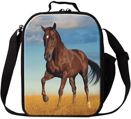 insulated messenger lunch bag