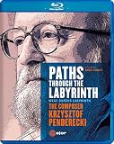 PATHS THROUGH THE LABYRINTH                        image